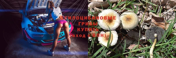 молекула духа Баксан