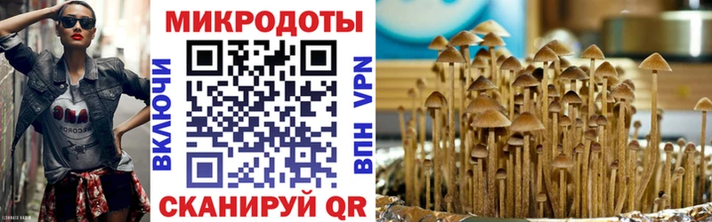 Псилоцибиновые грибы мицелий OMG зеркало Чадан