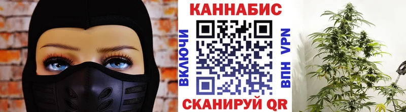 Бошки марихуана гибрид  наркотики  Чадан 